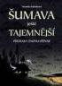 UMAVA JET TAJEMNJ