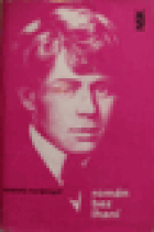 hlavn obrzek