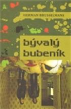 hlavn� obr�zek