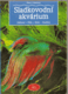 hlavn� obr�zek