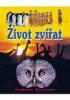 IVOT ZVAT