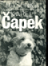 obr�zek 0