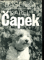 hlavn� obr�zek