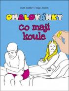 hlavn� obr�zek