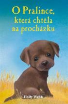 hlavn� obr�zek