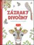 obrázek 0