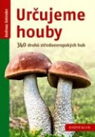 hlavn� obr�zek