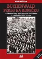 hlavn� obr�zek