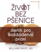 hlavn� obr�zek