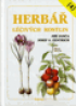obr�zek 0