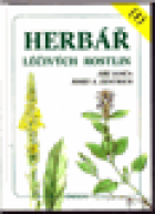 hlavn� obr�zek