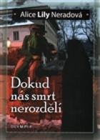 hlavn obrzek