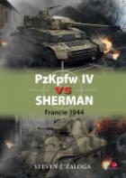 hlavn� obr�zek