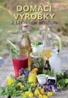 hlavn� obr�zek