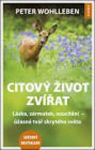 hlavn obrzek
