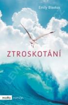 hlavn� obr�zek