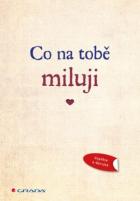 hlavn� obr�zek