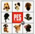 Pes - artist collection