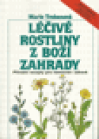 hlavn� obr�zek