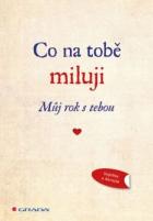 hlavn� obr�zek