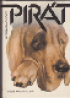 Pirt