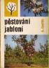 Pstovn jablon