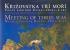 Kiovatka t mo - vodn koridor Dunaj-Odra-Labe = Meeting of three seas