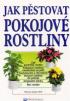 Jak pstovat pokojov rostliny