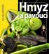 Hmyz a pavouci