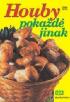 HOUBY POKAD JINAK